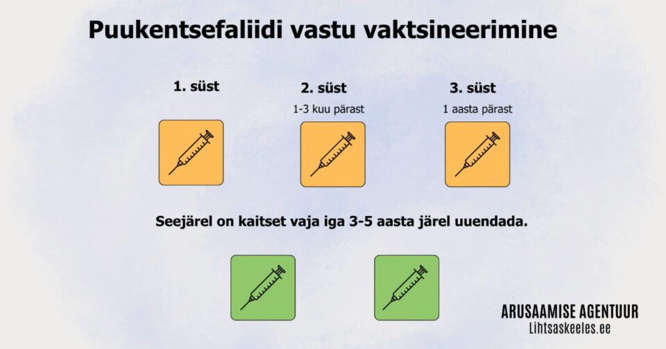 JOONIS: Puukentsefaliidi vastu vaktsineerimine (1200x630px) AUTOR Katrin Jõgisaar