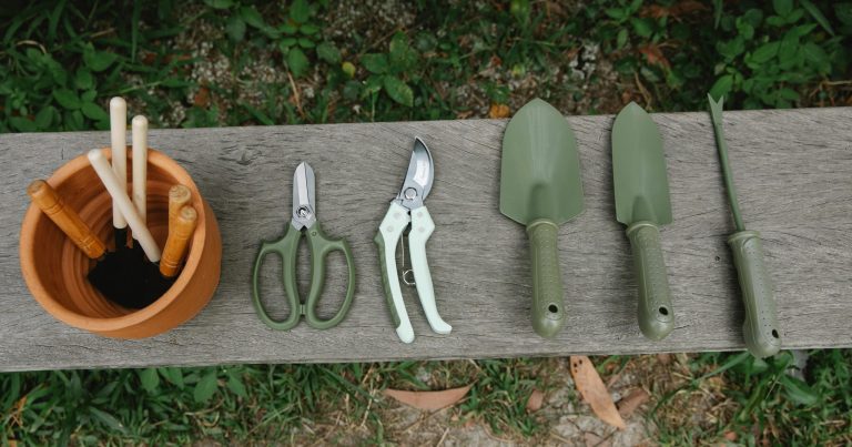Top view of row of scissors secateurs shovels and tools for loosening soil near pot with instruments on wooden bench in garden